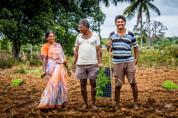 Farmer and Y-Cook client Krishna Muthy (right) with his parents in their corn fields