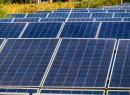 Renewable energy.jpg