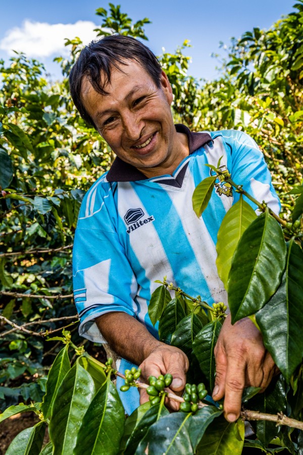 Francisco Pintado Luna grows premium organic coffee on his farm