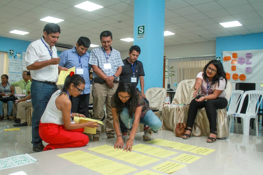 Participants working in groups during the PRM workshop