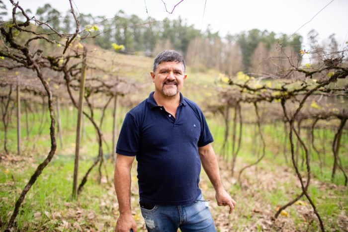 Vilson Ghisleri in his vineyard