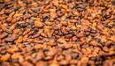 cocoa beans.jpg