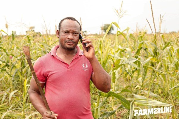 farmerline photo
