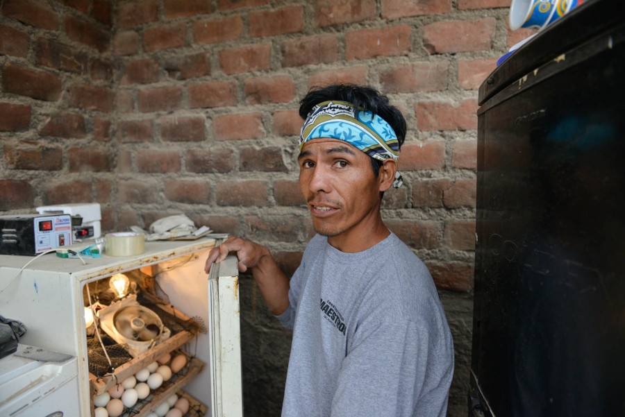 Neider Morales’ innovative ideas have turned his mother’s chicken breeding into an even greater success.