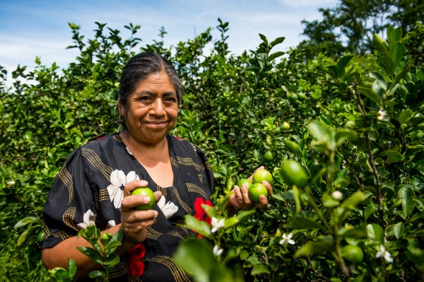 Oikocredit partner Concreces supports Rosalia Alicia Sanchez Valecia to grow a variety of fruit, vegetables and flowers together with her husband.
